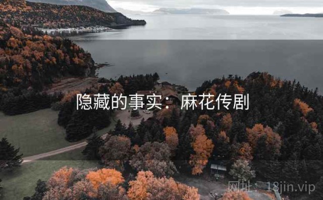 隐藏的事实：麻花传剧