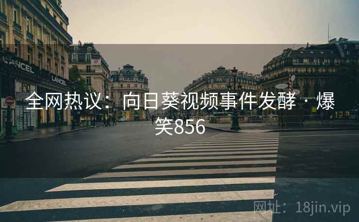 全网热议:向日葵视频事件发酵 · 爆笑856