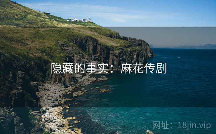 隐藏的事实:麻花传剧 隐藏的事实:麻花传剧