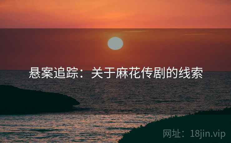 悬案追踪:关于麻花传剧的线索 悬案追踪:关于麻花传剧的线索