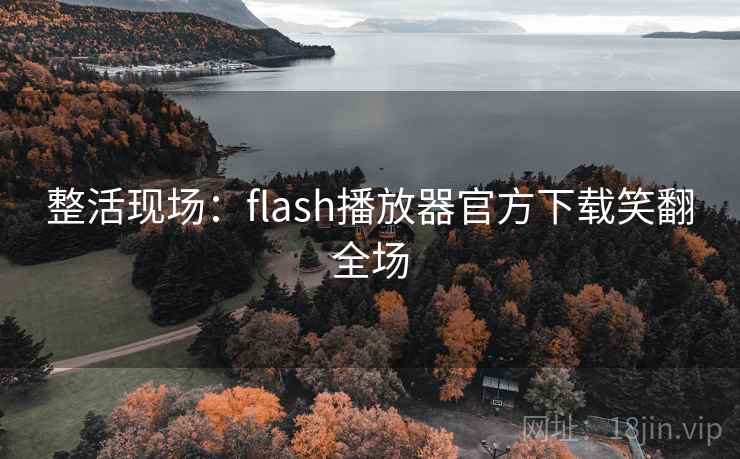 整活现场:flash播放器官方下载笑翻全场