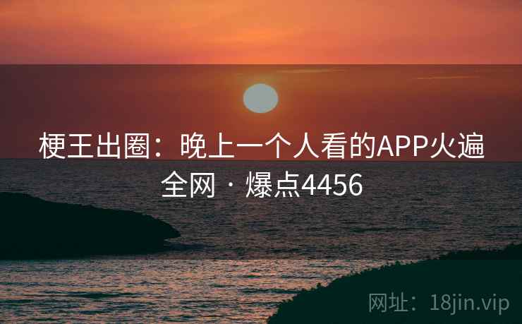 梗王出圈:晚上一个人看的APP火遍全网 · 爆点4456