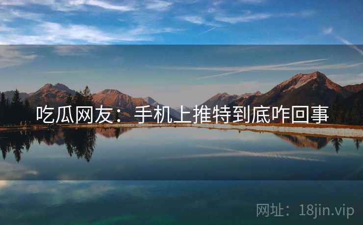 吃瓜网友：手机上推特到底咋回事
